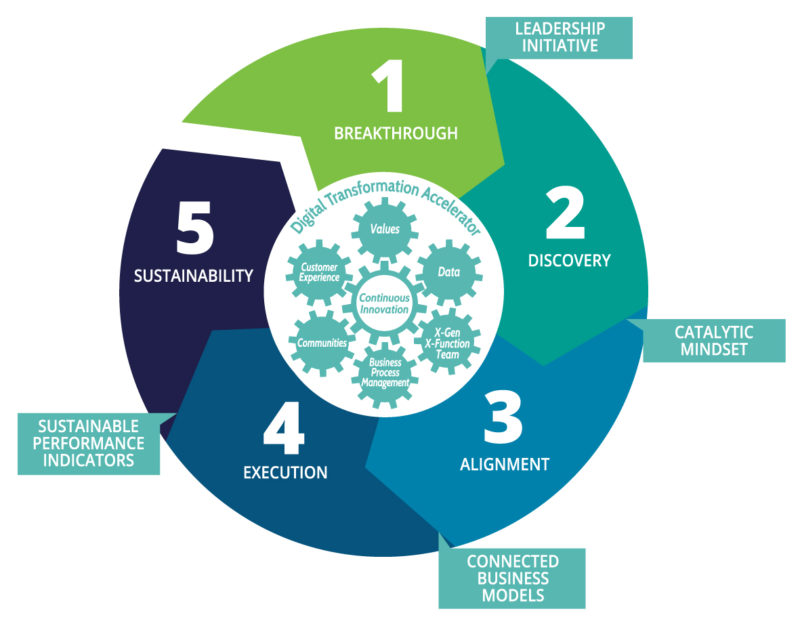 Digital Transformation Process - We Live Our Values - Entwine Digital